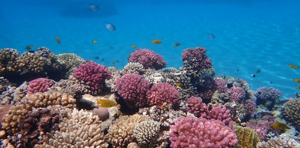 ralf-schlegel-gGIaHmXcSp8-unsplash